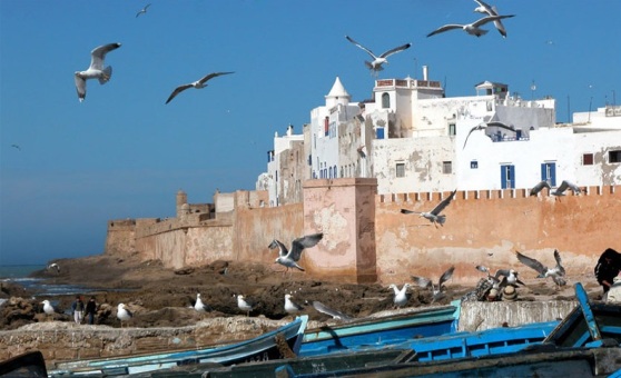 Morocco Shore Excursions